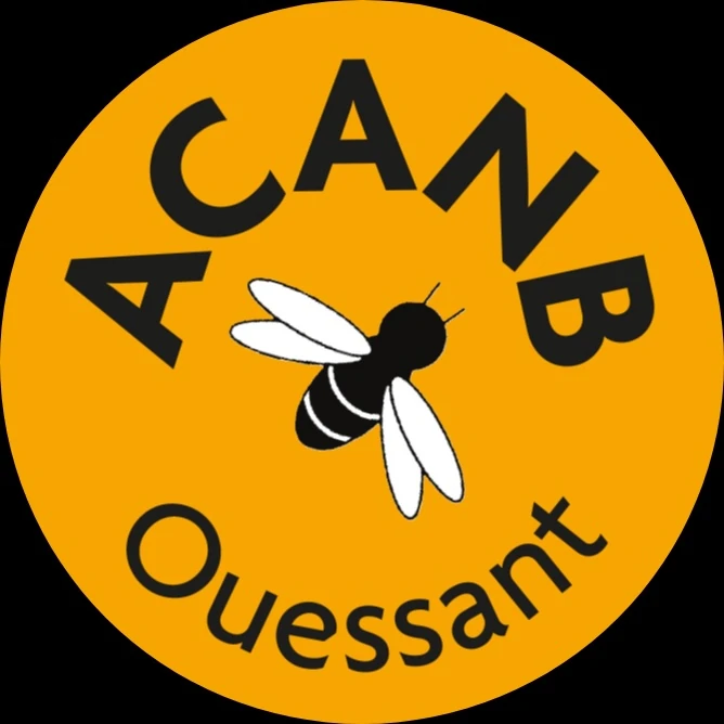 Association Conservatoire de l'Abeille Noire Bretonne - Ouessant